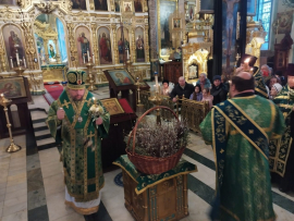 В канун праздника праздника Входа Господня в Иерусалим епископ Антоний совершил всенощное бдение в Казанском соборе